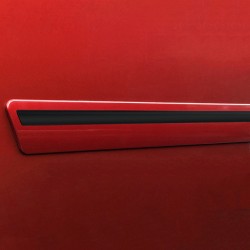  Toyota Tacoma Double Cab Painted Moldings with a Color Insert 2005 - 2023 / CI2-TACDC