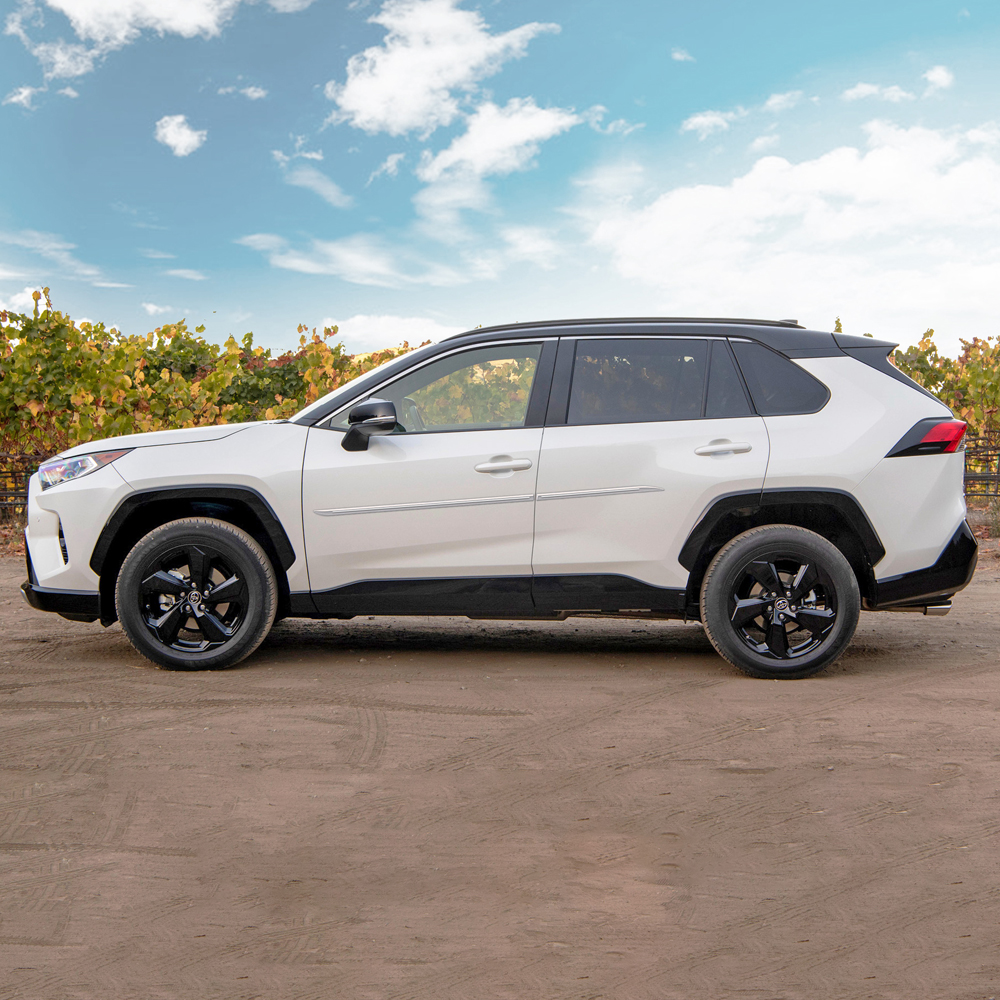 Rav4 Body Side Molding at Nicholas Petterson blog